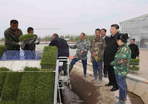 习近平登上黑瞎子岛 探望赫哲族群众 - 社会热门 - 亚洲必赢