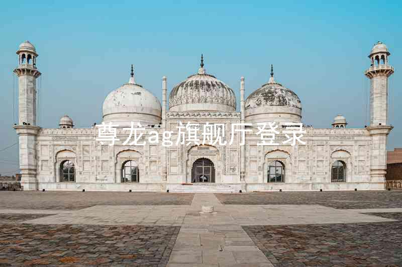 尊龙ag旗舰厅登录